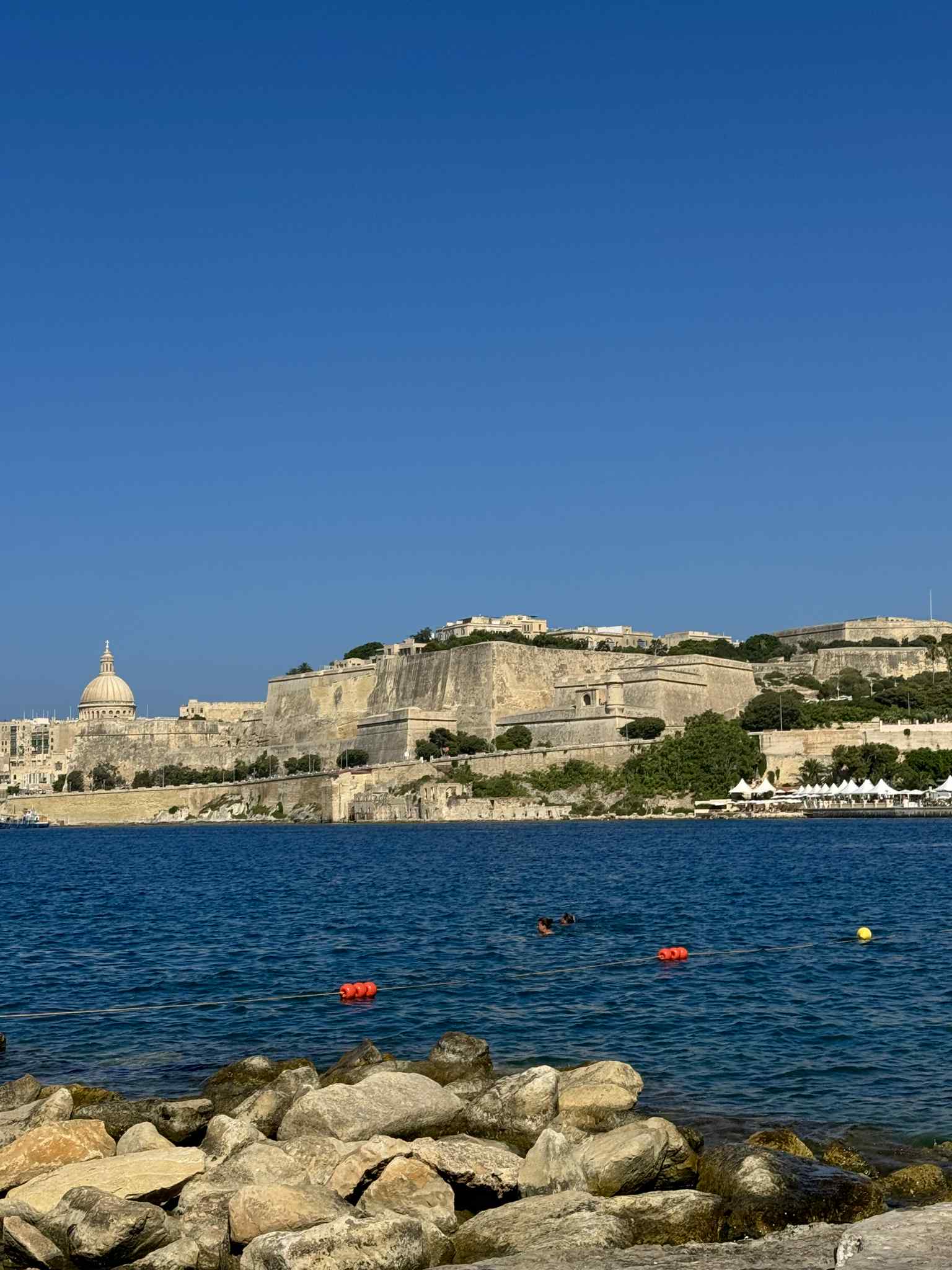 5d09214e-a2f3-4e3c-8769-fb6441a9b350