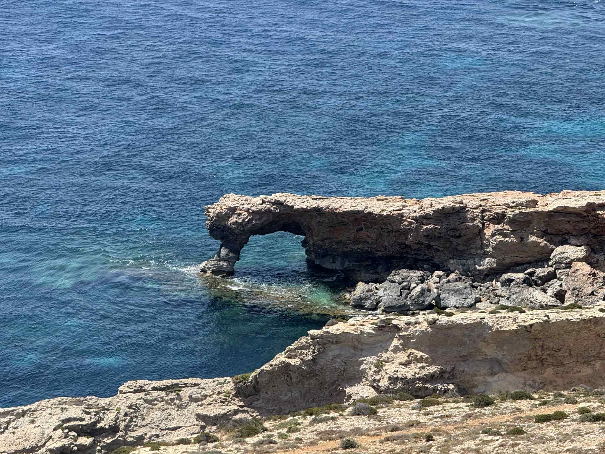 84a5a4d7-e608-42e1-8b23-f7808cd8aba1