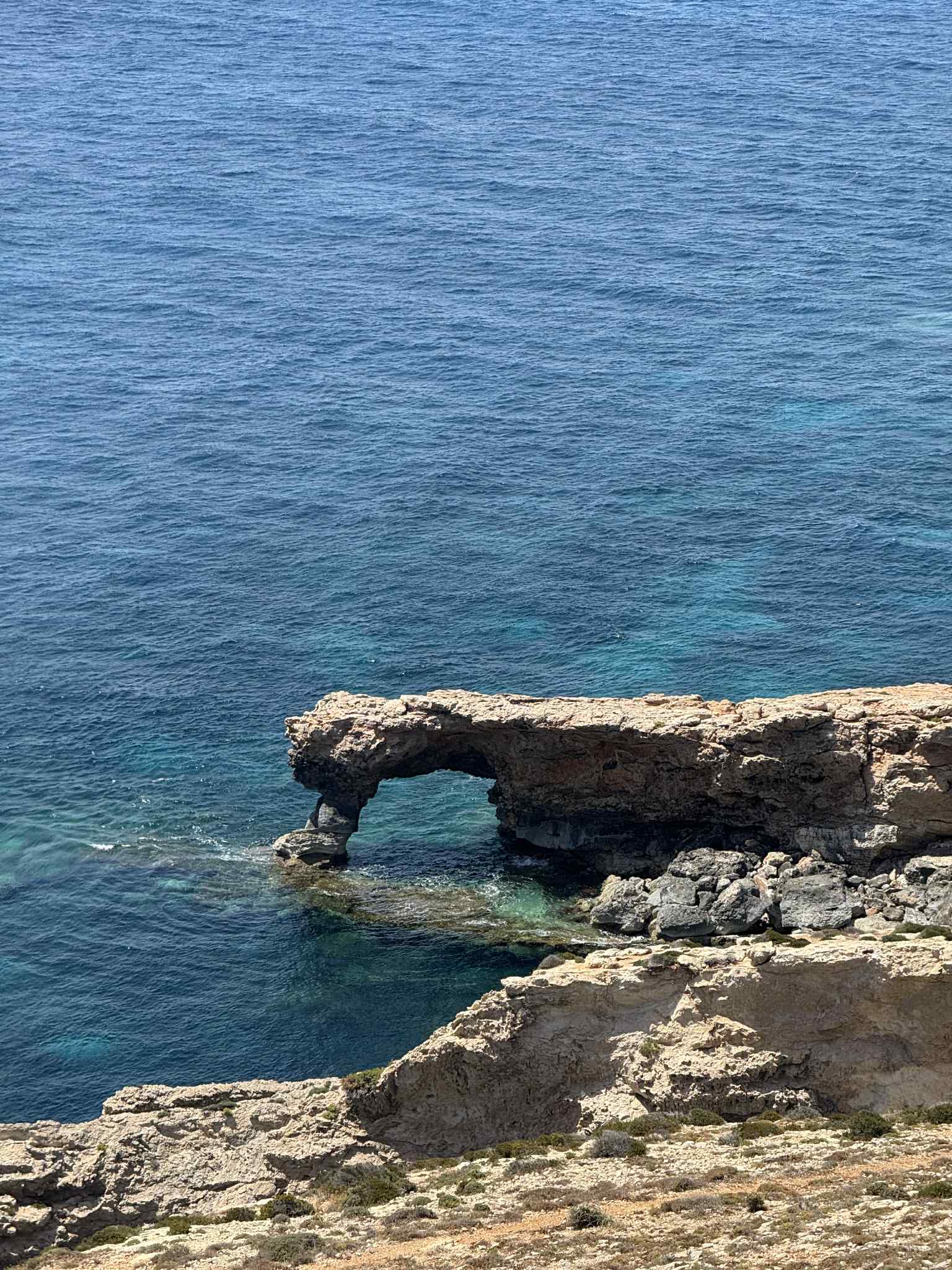 b2321c9b-1d5c-44fc-92d5-d72890a6e285