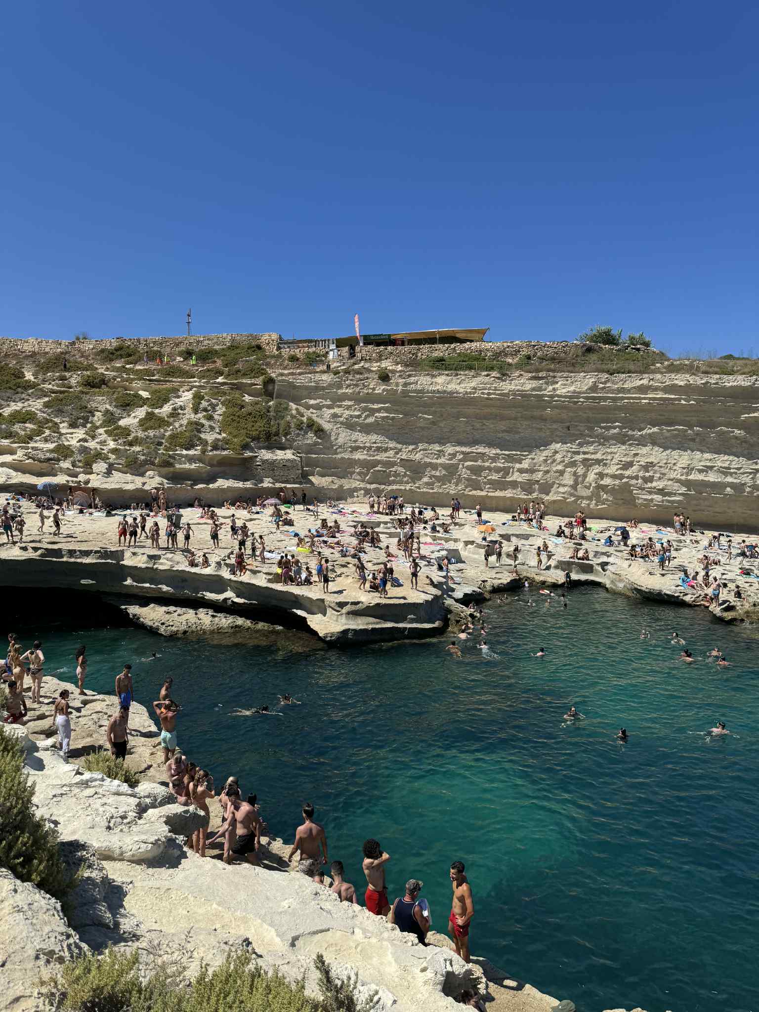 bf0dea9c-ee45-41ef-82b6-7bb9702b12c6