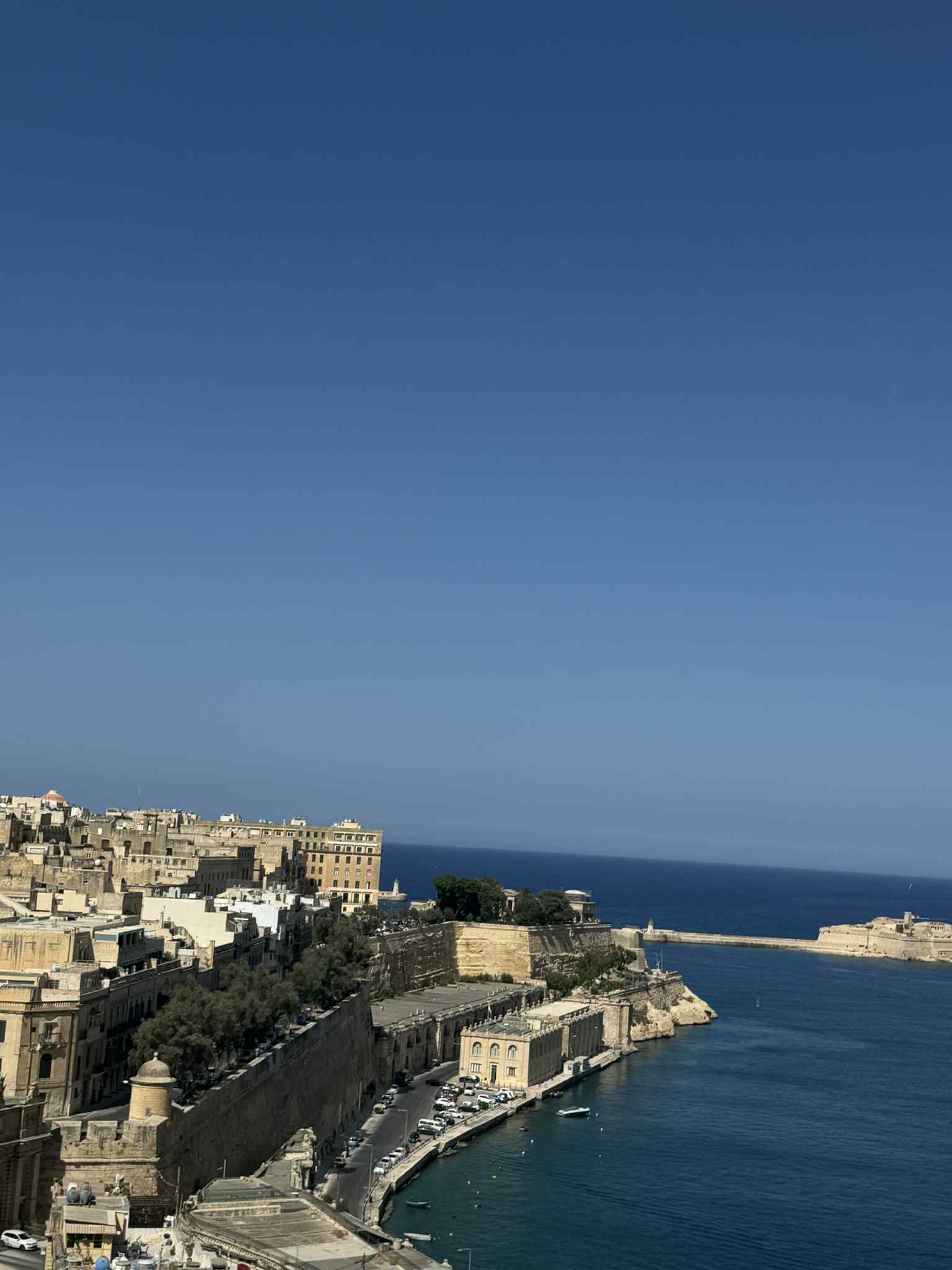 c37d5550-d28a-46f8-9201-b2ff8dbddbac