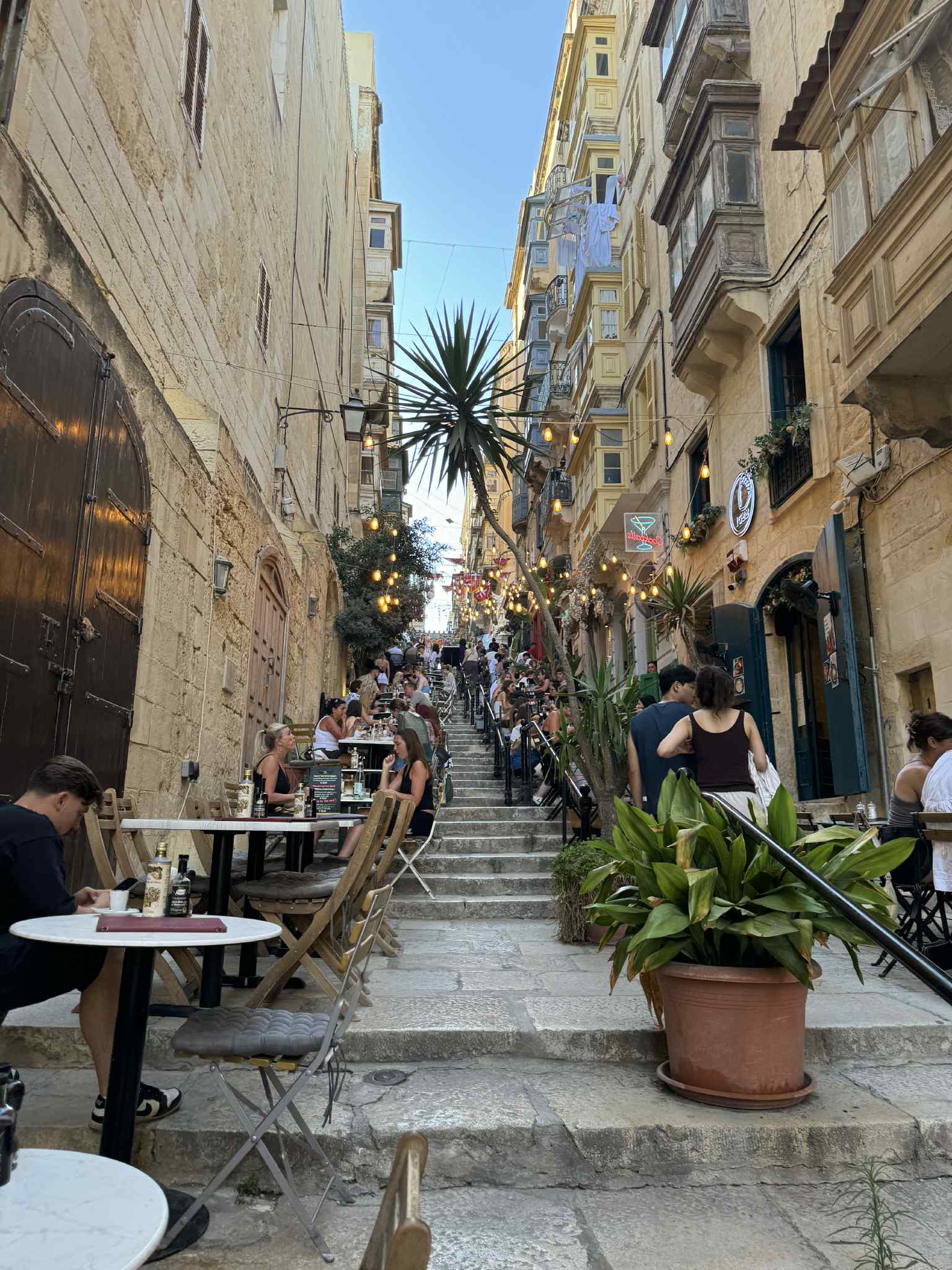 d5d59a4d-071c-46d5-ae51-aea013c80336